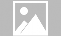 日本漫画老师,日本漫画大师的奇幻旅程